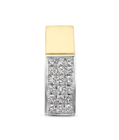 4208985 Goud bicolor GW bedel diamant 0.07ct HS1